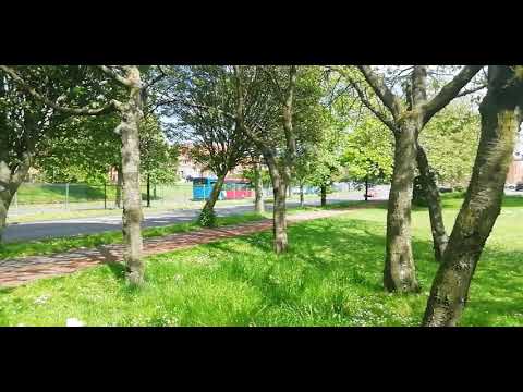 Go North East 5391 at Stamfordham Road in Slatyford (28/05/2021)