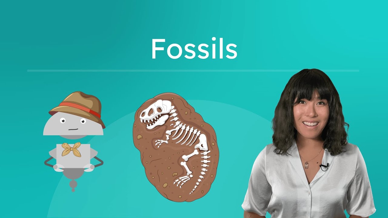 Fossils - How Fossils Form