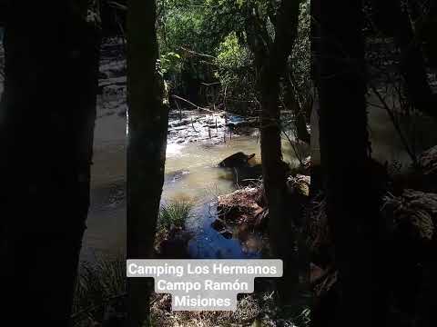 Camping Los Hermanos en Campo Ramón Misiones 🇦🇷💚🇦🇷 #nature #turismo #naturaleza #cascada