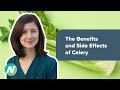 The Benefits And Side Effects Of Celery