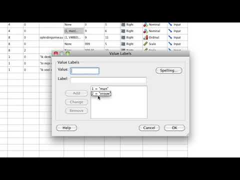 SPSS  Data View and Variable View 1 1