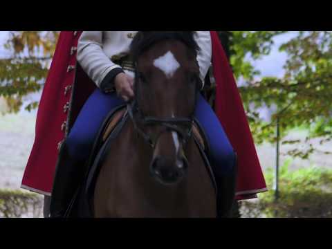 KONJANIK - audio i video obrada pjesme bana Josipa Jelačića, autor Zdravko Fundak