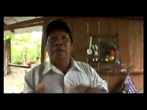 Part One - Ecuador- Rumble in the Jungle