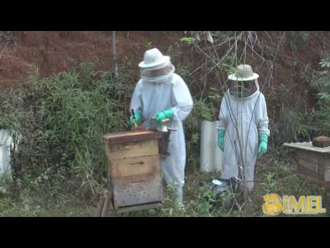 VIDEO LESSON 3: GETTING STARTED IN BEEKEEPING - MATERIALS AND EQUIPMENT