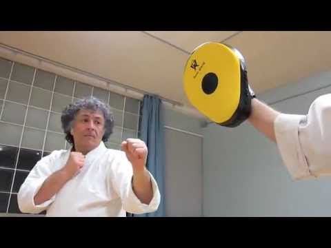Gorindo Martial Art - Haito-uchi in a whip motion
