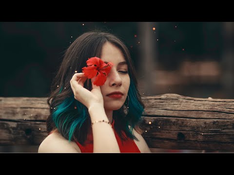 Cat Dealers ft. Charlotte Haining - Nobody Does It - EDM GAMING HOUSE MUSIC BRAZILIAN BASS ABELVOLKS