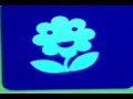 A Blue Flower