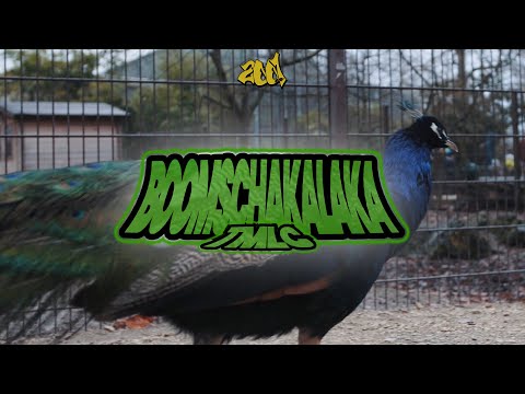 TMLC - Boomschakalaka | 2020 | (prod. ESKRY)