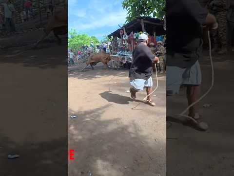 Las Cosas Que pasan En El Tiangue De el Transito San Miguel El Salvador
