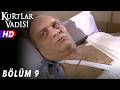 Kurtlar Vadisi 9 Bölüm FULL HD YENİ
