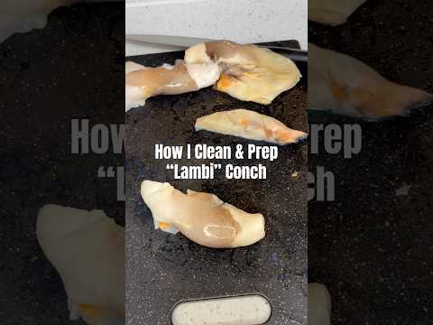 How I Clean & Prep “Lambi” Conch #mealprep #dinnerideas #seafood #explore #fyp