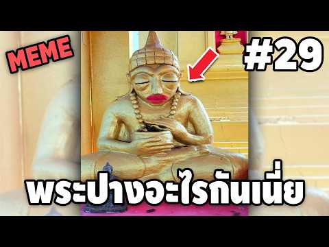 ภาพนี้ก็ฮาเหมือนกันนะเนี้ย #29 SS9 [ พากย์นรก MEME.EXE ] | easy boy