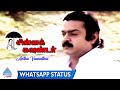 Antha Vaanathai Whatsapp Status Chinna Gounder Movie Songs Vijayakanth Sukanya Ilaiyaraaja