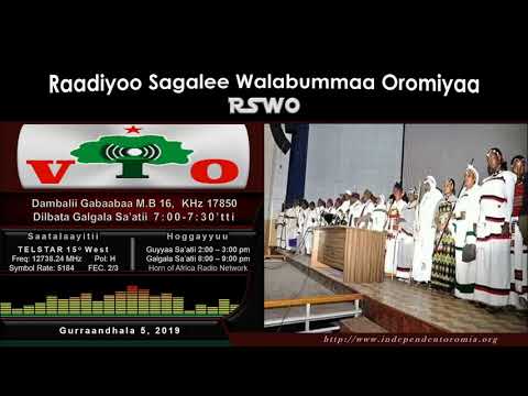 RSWO - Gurraandhala 5, 2019: Koree Araaraa Keessaa Dhiibamuu Abbootii Gadaafi Haadholii Siiqqee