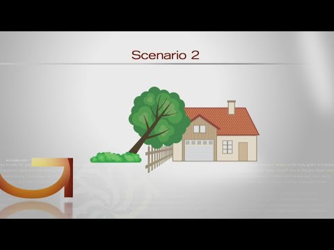 Who's Responsible When A Neighbor's Tree Falls In Your Yard?