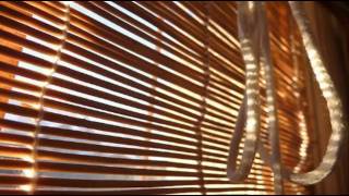 Ephemera - Morning Sun