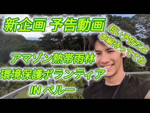 森林の動物たち: アマゾン、熱帯、ペルー、宣教師 -