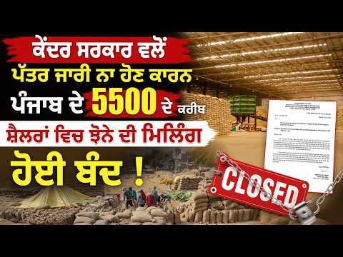 Paddy Milling Stopped in Punjab | ਪੰਜਾਬ ਦੇ 5500 ਦੇ ਕਰੀਬ ਸ਼ੈਲਰਾਂ ਵਿਚ ਝੋਨੇ ਦੀ Milling ਹੋਈ ਬੰਦ !