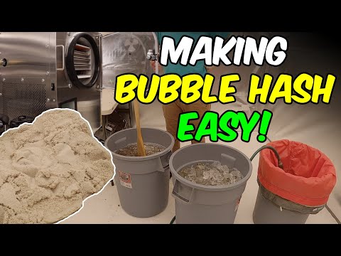 Making the BEST BUBBLE HASH using a FREEZE DRYER!!! HOW TO TUTORIAL!