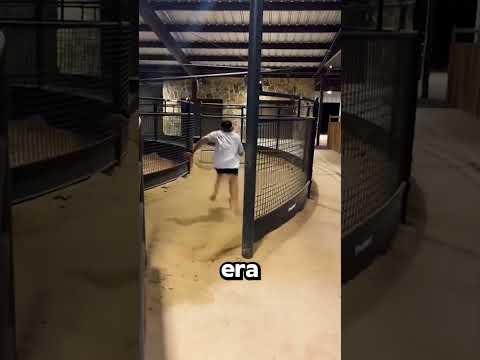 Estaba Seguro De Ser Más Rápido Que… Un CABALLO!😅