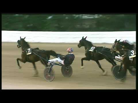 Trotto 06/11/2020 - 8ª corsa