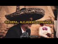 Quisiera - Alejandro Fernández (Letra)