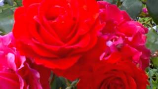 Aayegi Har Pal Tujhe Meri Yaad [Full Song] (HD) With Lyrics - Andolan