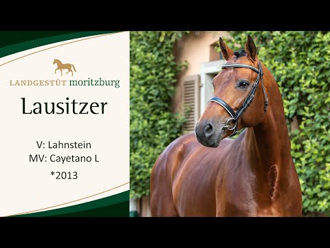 LAUSITZER v. Lahnstein - Cayetano L