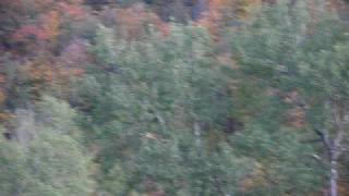 preview picture of video 'Fall Foliage - Waterwheel Farm in Potter County, PA'