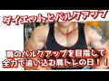 肩をデカく!!全力で追い込む肩トレの日