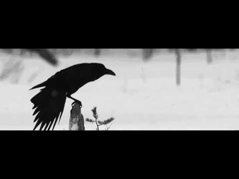 EmKaTus - "Trzecią noc nie śpię"