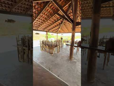 🏡 Linda chácara de 10 alqueires em Itauçu Go | 5.990.000