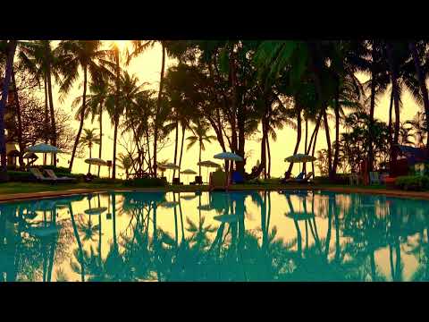 Tropical Swimming Pool Ambience - Exotic Palm Trees 4K