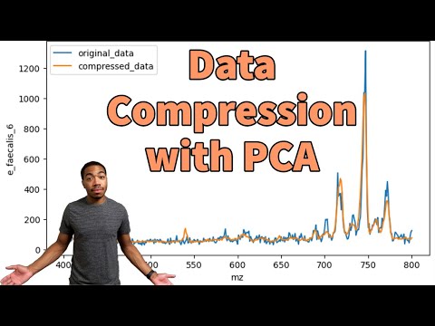 Transform Your Analysis: Dive into PCA Compression for Data
