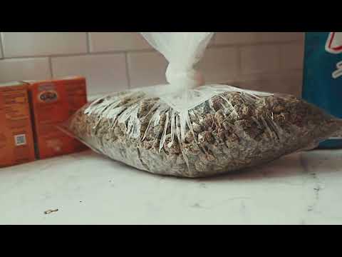 89Qwick - Stewie Griffin (Official Music Video)