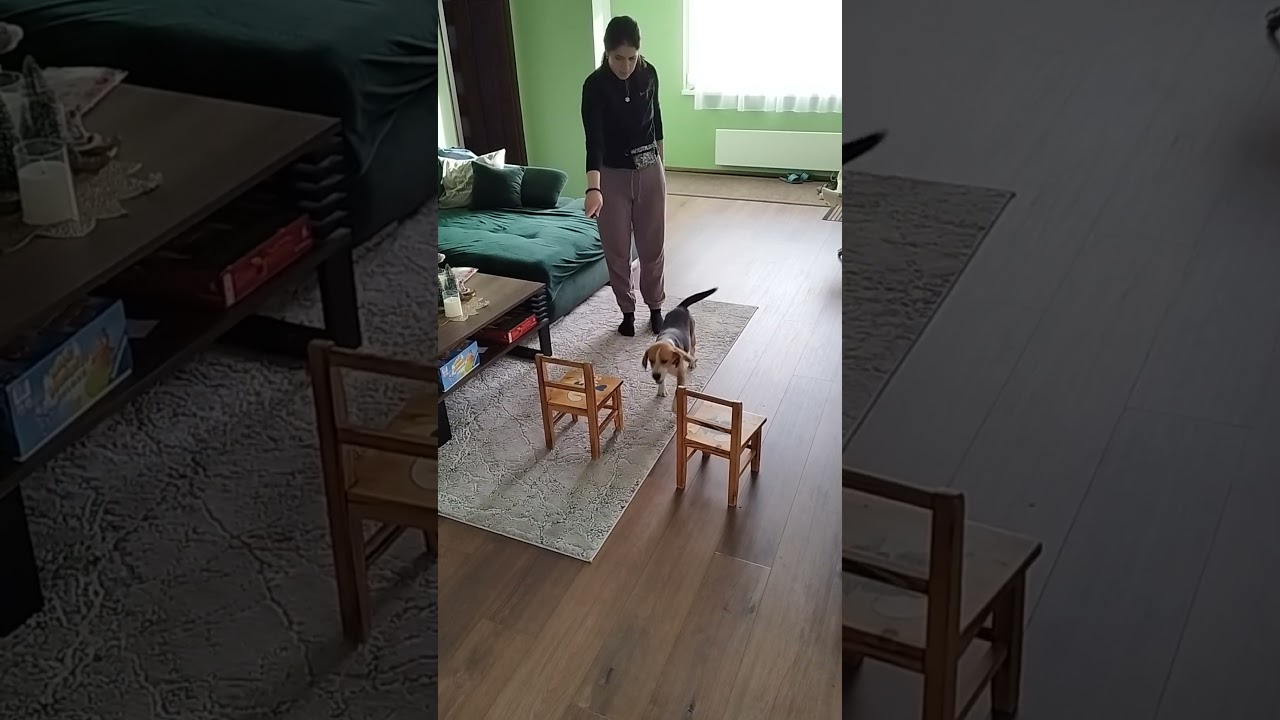 Sweet Fable Alice Trükkök/2