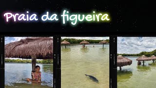 Praia da figueira |Bonito - MS #bonito #turistandoporaí