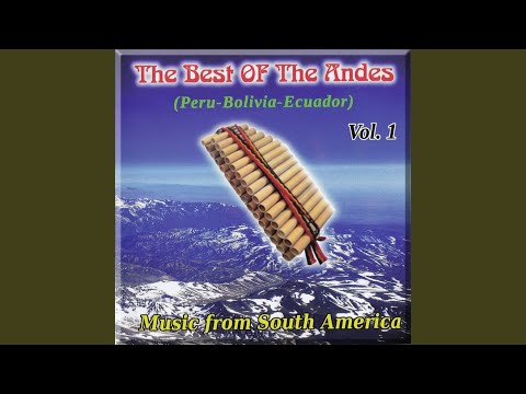 Muchachos de pelo Largo