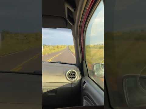 A fazenda de Boa Vista-RR #fazendadegado #fazendariogrande #amajari #boavista #roraima #brasil