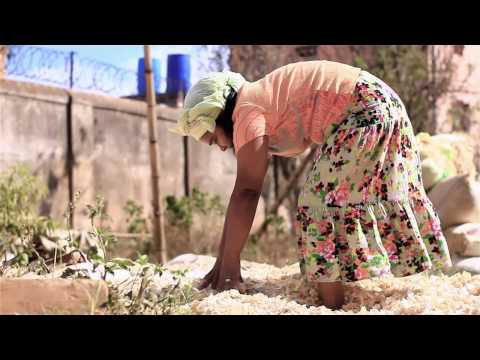 ALSON - Paradisa (Prod by CYEMCI)