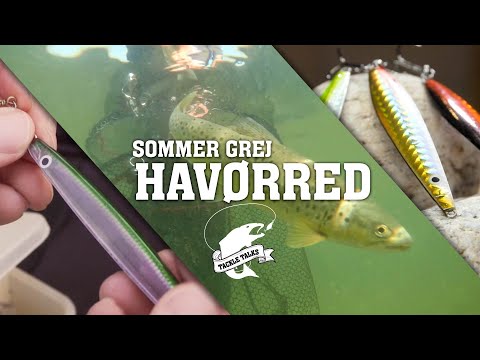 Sommergrej til havørred // Tackle Talks – Gone Fishing TV