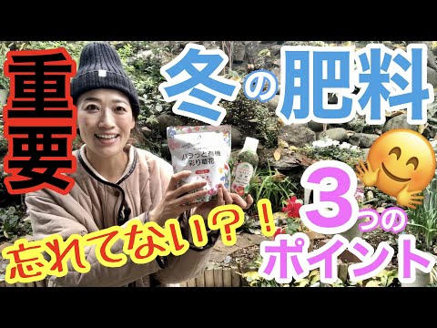 庭を寒さや霜から守る肥料は何ですか?この冬おすすめの5本をご紹介します!  庭園