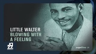 Little Walter - Too Late