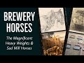 The Brewery Horses That Kept Londons Beer Flowing History