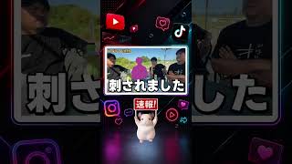 【速報】6日 杏仁さんの15歳息子あすかが集団暴行で入院 5人逮捕