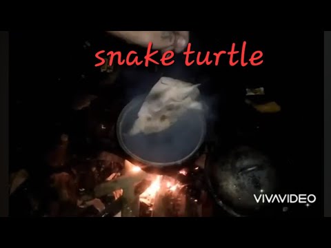 Adobong snake turtle ahas pagong og kasili fish..#asmar
