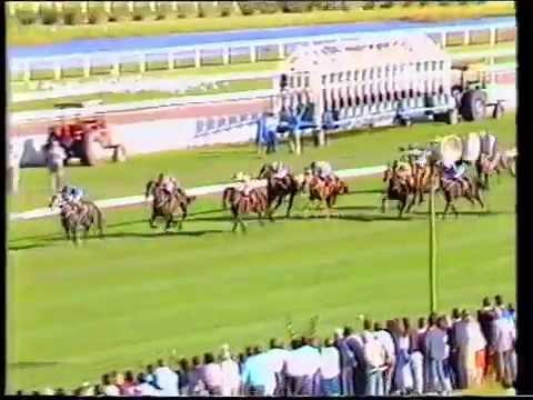 Bounding Away - 1987 AJC Oaks