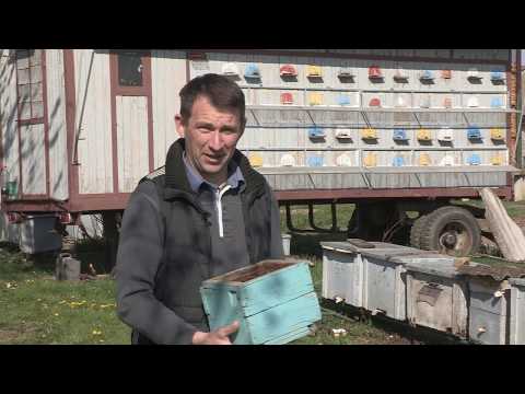 Boja meda ep.61 07.05.2019. - Paviljonski način pčelarenja, Pčelarenje na jugu Bačke...