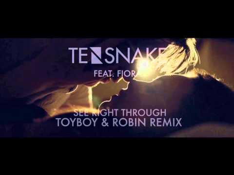 Tensnake feat. Fiora - See Right Through (Toyboy & Robin Remix)