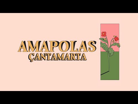 Çantamarta - Mariposas Amarillas